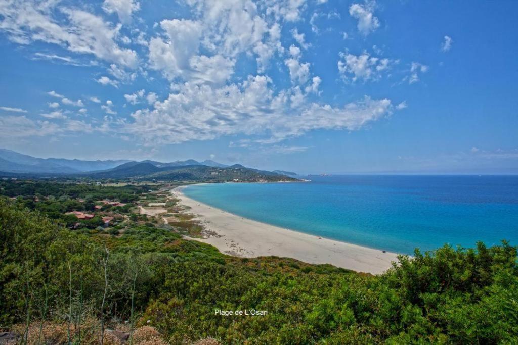 Appartement E Rondinelle 2 Belgodère Εξωτερικό φωτογραφία